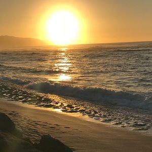 Meet your Posher, Alize